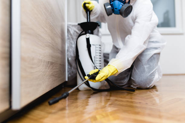 Best Termite Control Services  in Morristown, NJ