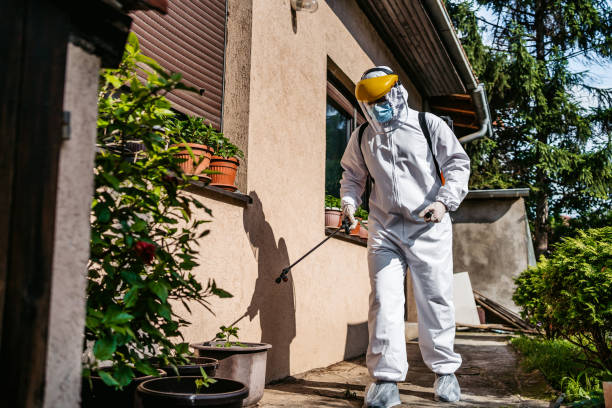 Best Pest Control for Businesses  in Morristown, NJ