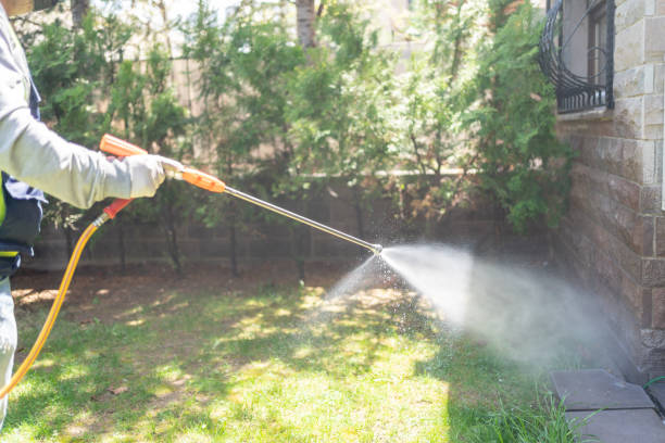 Best Emergency Pest Control  in Morristown, NJ