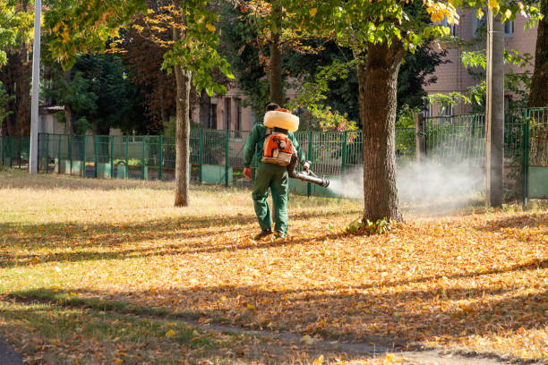 Wasp Removal Services in Morristown, NJ