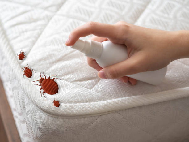 Pest Prevention Services in Morristown, NJ