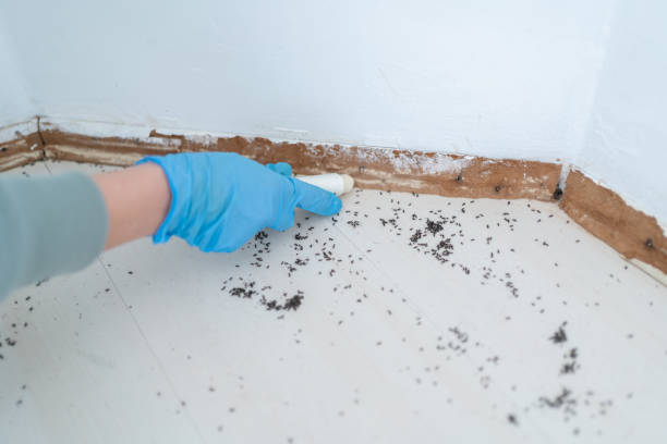 Best Pest Inspection Near Me  in Morristown, NJ