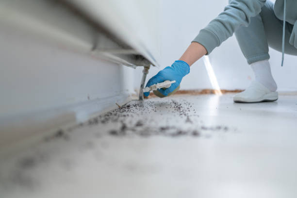 Best Pest Control Near Me in Morristown, NJ